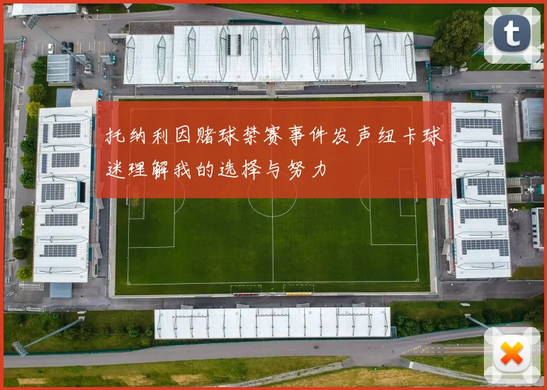 托纳利因赌球禁赛事件发声纽卡球迷理解我的选择与努力